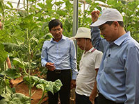 Chính sách “tam nông”, nâng tầm nông nghiệp