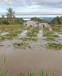 Hàm Thuận Nam: Ước thiệt hại khoảng 2,5 tỷ đồng do mưa lớn, lũ quét