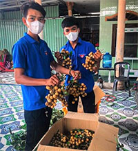 Hàm Thuận Nam: Bán hàng gây quỹ phòng, chống dịch