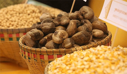 Vietnam becomes leading market of Cambodia’s cashew nuts