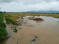 Đức Linh, Tánh Linh: Mưa lớn, lốc xoáy khiến 11 nhà dân và trên 250 ha cây trồng thiệt hại