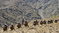 Chiến sự diễn ra ác liệt tại Panjshir, Taliban sắp ra mắt chính phủ mới