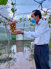 Tuy Phong: Mưa nhiều, các hồ thủy lợi điều tiết nước xả lũ