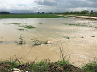 Tánh Linh: Thiệt hại trên 5 tỷ đồng do mưa lớn, kết hợp xả lũ hồ Hàm Thuận