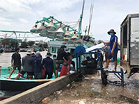 Dừng hoạt động mua bán cá nhỏ lẻ tại Cảng cá Phan Thiết và Cảng cá Phú Hải