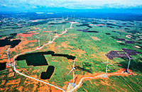 Điện gió Thái Hòa chính thức vận hành thương mại