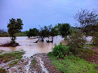 Bắc Bình: Đề nghị hỗ trợ trên 530 triệu đồng khắc phục hậu quả mưa lũ