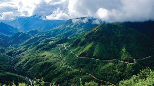 Lao Cai receives USAID’s aid for sustainable forest management