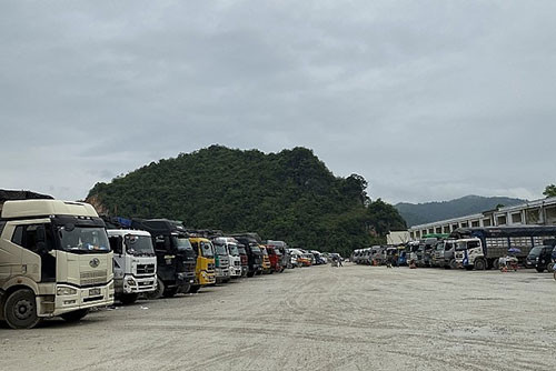 Xuất khẩu thanh long qua cửa khẩu tỉnh Lạng Sơn: Tránh ùn ứ phương tiện, giảm thiểu rủi ro dịp cuối năm