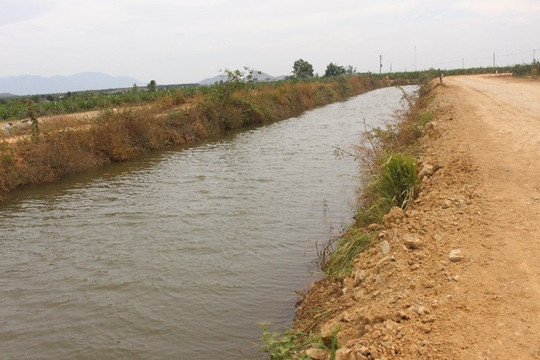 Hệ thống kênh hồ chứa nước Sông Móng: Chuẩn bị dự án hoàn chỉnh