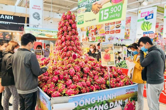 Hỗ trợ nông dân Bình Thuận, Long An tiêu thụ thanh long
