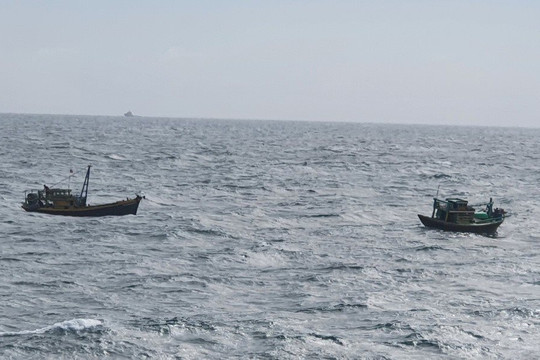 Vụ tàu Narimoto Maru bị chìm trên biển Bình Thuận:﻿﻿ Chủ tàu chưa có phản hồi về việc tìm kiếm, xử lý