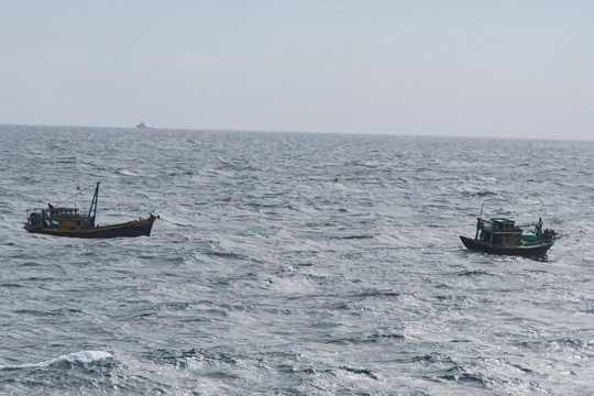 Vụ tàu Narimoto Maru bị chìm trên vùng biển Bình Thuận: Chủ tàu chưa có phản hồi về việc tìm kiếm, xử lý