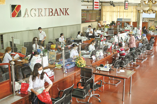 Agribank chi nhánh Bình Thuận: Ưu tiên tín dụng cho khách hàng bị ảnh hưởng dịch Covid-19