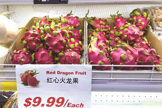 Binh Thuan dragon fruits exported to Japan