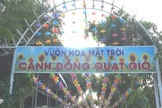 “Tự sướng” với vườn hoa mặt trời – cánh đồng quạt gió tại Tuy Phong