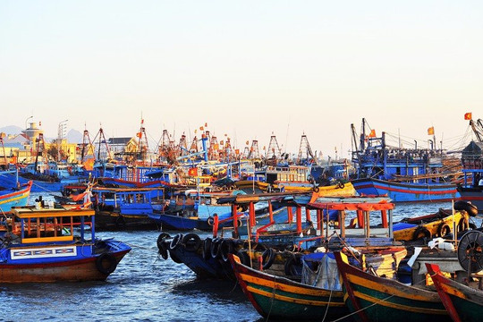 La Gi: Nâng cấp cảng cá có năng lực bốc dỡ thủy sản 45.000 tấn