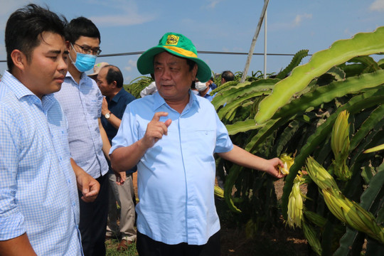 Đoàn công tác của Bộ Nông nghiệp và PTNT thực địa tại Hàm Thuận Nam