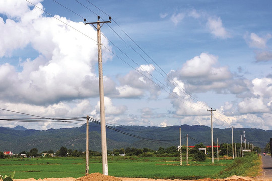 Công ty Điện lực Bình Thuận: An toàn lưới điện là nhiệm vụ hàng đầu