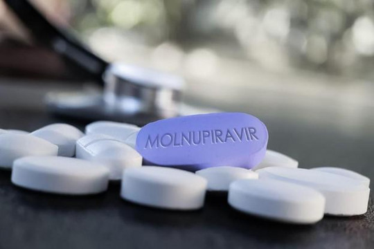 WHO khuyến cáo không nên dùng Molnupiravir cho tất cả mọi người
