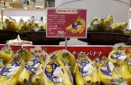 Vietnamese products expected to penetrate deeply into Japan’s retail system
