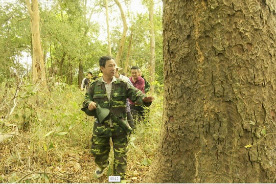  Kiểm tra công tác quản lý, bảo vệ rừng ở Hàm Thuận Nam