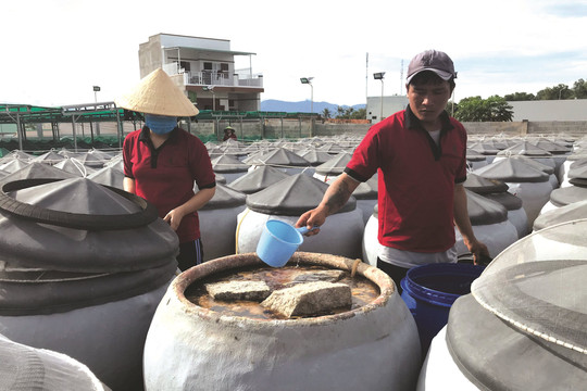Nhiều cơ sở sản xuất nước mắm có nguy cơ “treo lều”