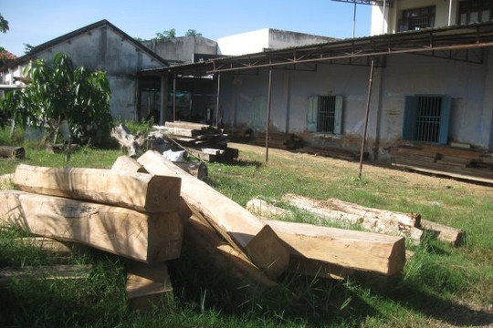 Hàm Thuận Bắc thực hiện các biện pháp chống phá rừng