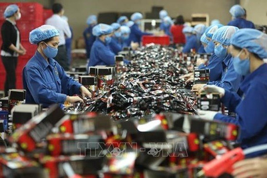 Foreign investors interested in Vietnam's future workforce