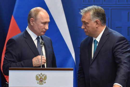 Phản ứng của Tổng thống Putin sau khi Hungary đề nghị ngừng bắn ngay lập tức