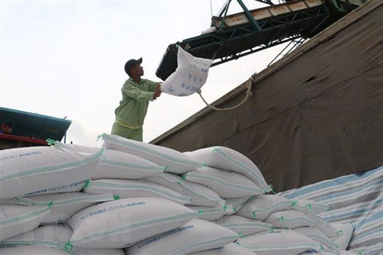 Vietnam’s rice export turnover up 10.5 percent in Q1