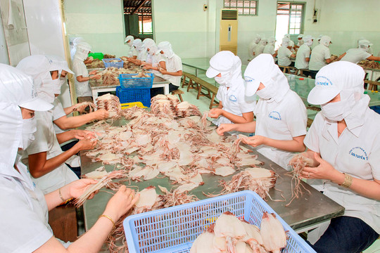 Hoạt động thương mại nông sản Việt Nam - Trung Quốc: Chuyển từ xuất khẩu tiểu ngạch sang chính ngạch