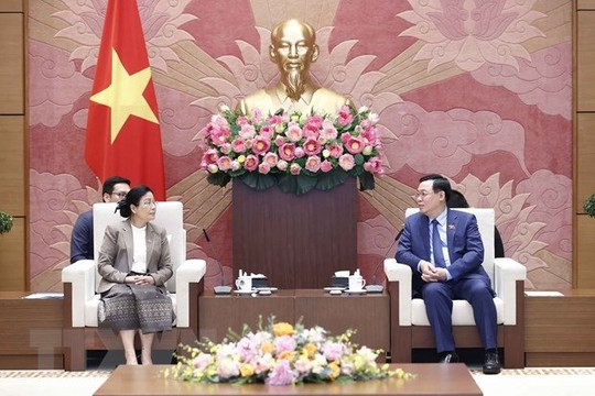 NA leader hopes for stronger ties between Vietnamese, Lao court systems