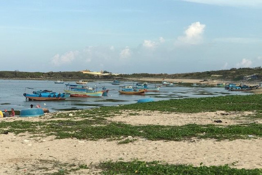 Khảo sát kè biển xã Long Hải, đảo Phú Quý