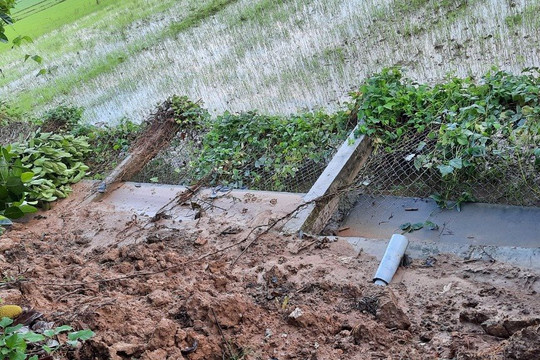 Bắc Ruộng (Tánh Linh):﻿﻿
 200 ha lúa, nhiều nhà cửa và công trình bị ngập, hư hại do mưa lớn