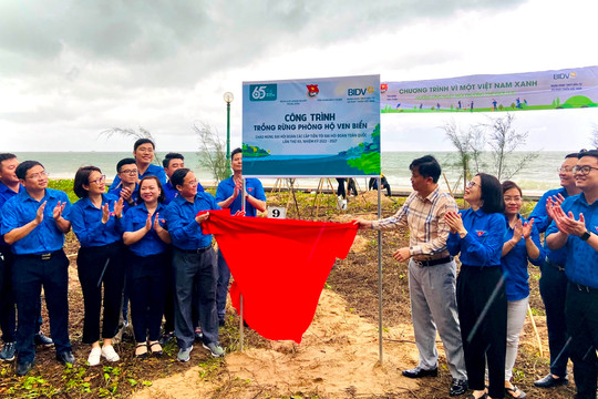 Youth joined program to plant 16,000 trees “For a Green Vietnam”