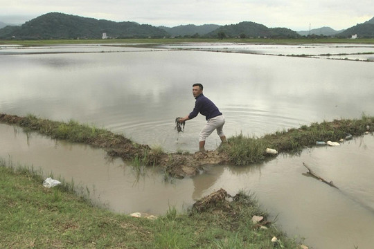 Tánh Linh: Nỗ lực khắc phục thiệt hại sau mưa lũ