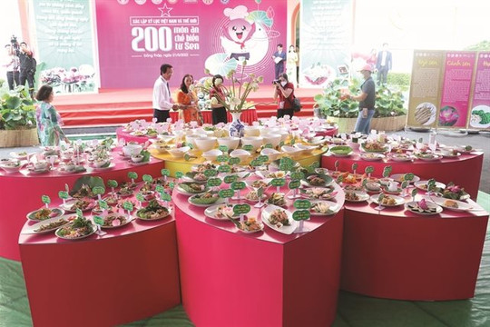 World Record awarded to Dong Thap Lotus Festival