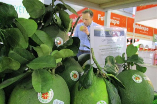 Vietnam shows potential in US fruit exports