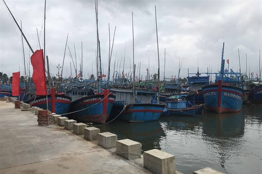 Five first-class fishing ports to be constructed by 2030