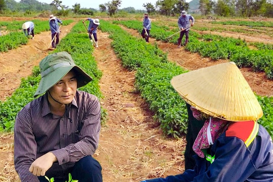 “Tam nông” - phát triển và hội nhập. Bài 4.