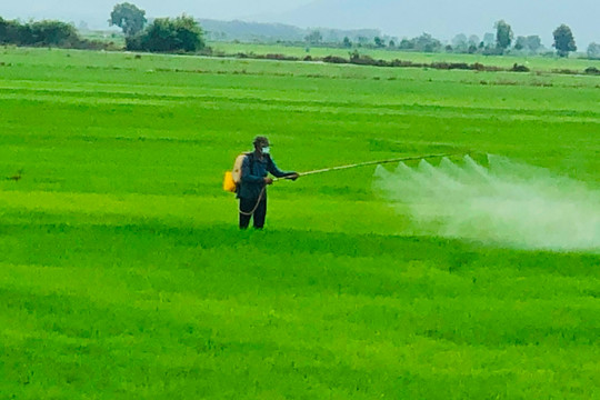 Hiệu quả từ phong trào nông dân thi đua sản xuất, kinh doanh giỏi