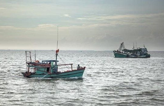Vietnam ready to cooperate and share experience in combating illegal fishing: spokesperson