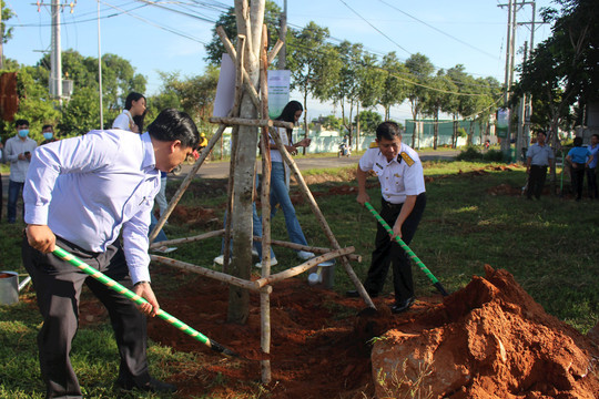 Phan Thiet city launches program planting millions trees to brighten up life