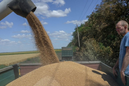 Quốc tế hoan nghênh thoả thuận nối lại xuất khẩu ngũ cốc Nga-Ukraine