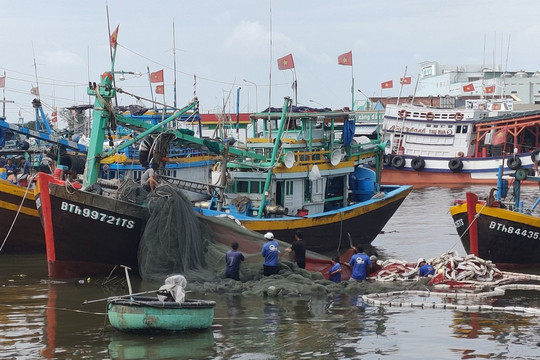 Cảng cá Phan Thiết nhộn nhịp trở lại