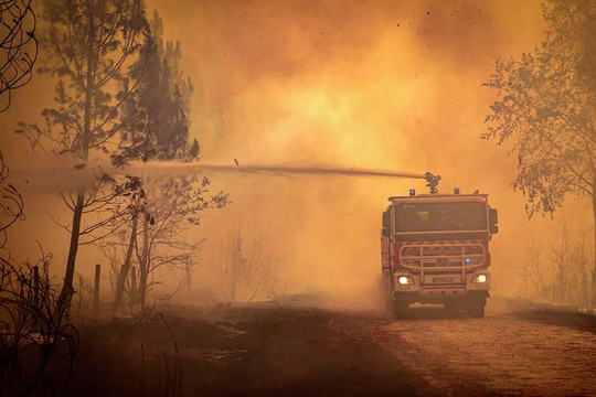 Pháp: Sơ tán 10.000 người dân vì cháy rừng lớn