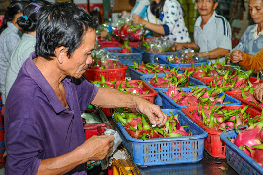 Hội nghị xuất khẩu trái cây tươi Việt Nam trước bối cảnh Covid-19