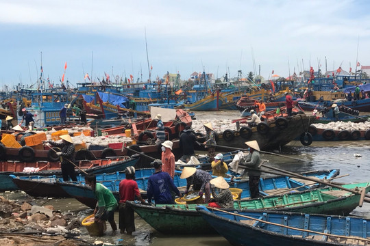 Tuy Phong:
Không mua được dầu, nhiều ghe thuyền nằm bờ