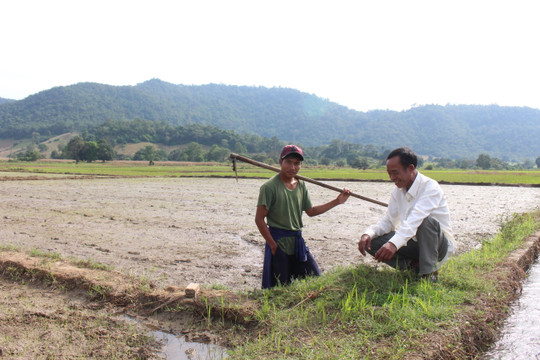 Xây dựng nông thôn mới ở Hàm Thuận Bắc: Nỗ lực nâng cao thu nhập cho người dân